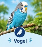 Vogel