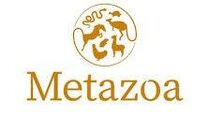 Metazoa