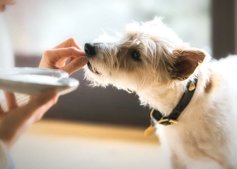 Geneesmiddelen/ bestrijdingsartikelen