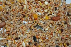 &#039;t Dijkje strooivoer 10kg