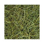 't Dijkje weidehooi 1kg