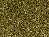 't Dijkje Tijm&nbsp;&nbsp;1kg