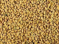 't Dijkje Fenegriek 1kg