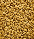 Nutribird p15 original onderhoudsvoeder