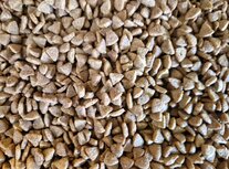 &#039;t Dijkje  premium kattenbrok senior