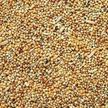 &#039;t Dijkje parkietenzaad 20kg