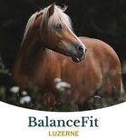 Metazoa BalanceFit Luzerne