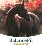 Metazoa BalanceFit Esparcette