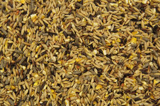 't Dijkje granenmix 20kg