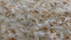  't Dijkje Psyllium husk 1kg
