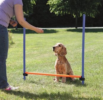 Trixie dog activity agility horde blauw / oranje