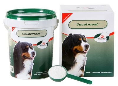 Primeval gelatinaat hond