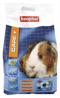 Care+ cavia