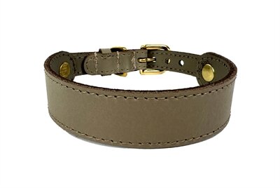 Sazzz halsband hond sweetie classic leer taupe