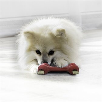 Kong goodie bone