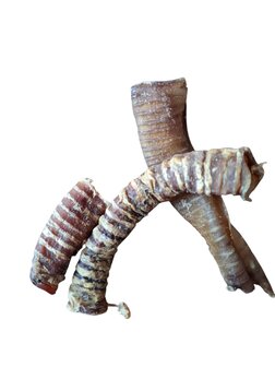 &#039;t Dijkje luchtpijp mini 100gram 