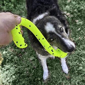 Kong reflex tug &#039;n fetch