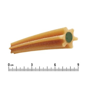 Advance dental care stick mini