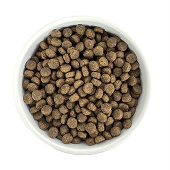 Budget premium small breed
