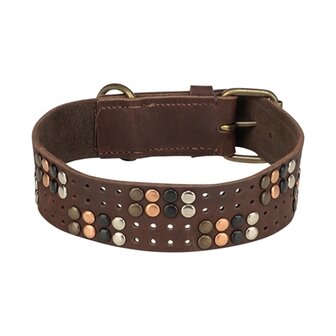 Trixie halsband hond rivet rustic vetleer donkerbruin
