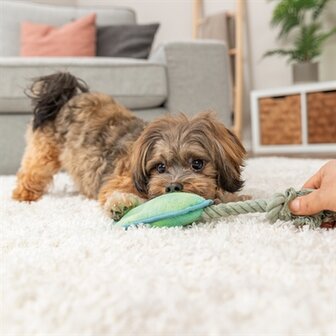 Trixie dierenpoot met touw groen