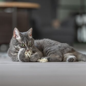 Trixie speeltouw met franjes assorti