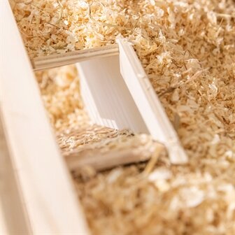 Trixie observatiebox muis / hamster met tunnel onbehandeld hout