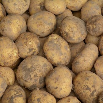 Dor&eacute; aardappel 5kg (nieuw)
