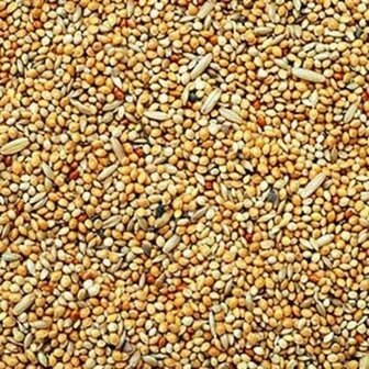 &#039;t Dijkje parkietenzaad 20kg