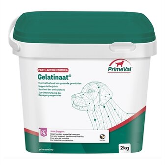 Primeval gelatinaat hond