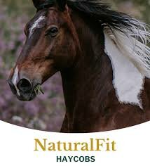 Metazoa  NaturalFit Haycobs