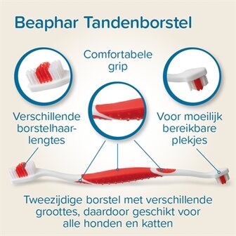Beaphar tandpasta en borstel combi-pack
