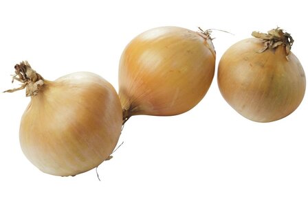 Uien10kg