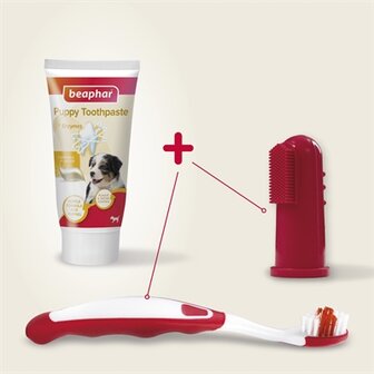 Beaphar tandpasta en borstel combi-pack puppy