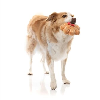 Fuzzyard mistle-dough