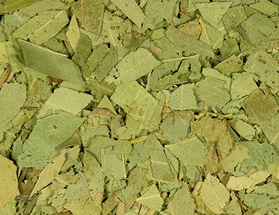 &#039;t Dijkje gesneden Eucalyptus 1kg