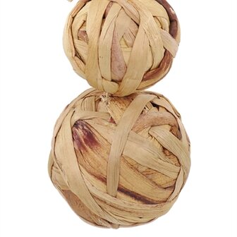 Cupid &amp; comet trio boom van waterhyacint