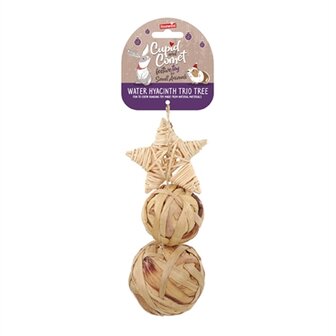 Cupid &amp; comet trio boom van waterhyacint