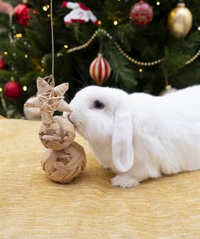 Cupid &amp; comet trio boom van waterhyacint