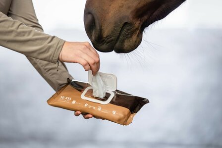 Horse Wipes Natural Clean 30 XXL wipes