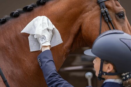 Horse Wipes Natural Clean 30 XXL wipes