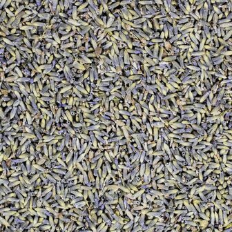 &#039;t Dijkje Lavendelbloemen 1kg