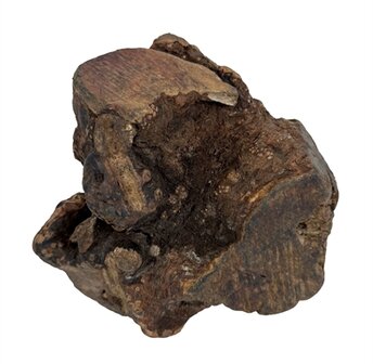 Dog woodzzz kauwwortel met olijfolie