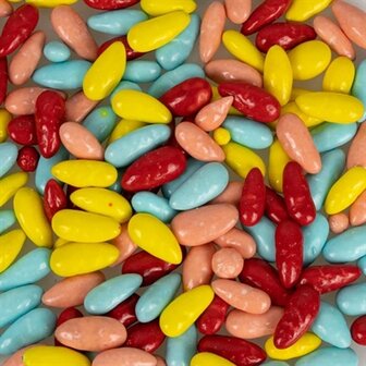 Back zoo nature parrot sunflower seed treats