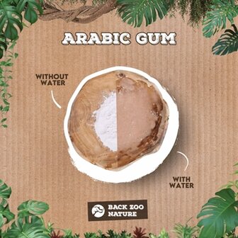 Back zoo nature arabic gum