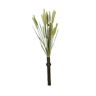 Back zoo nature millet tarwe