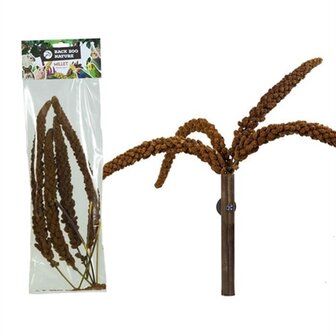 Back zoo nature franse trosgierst rood