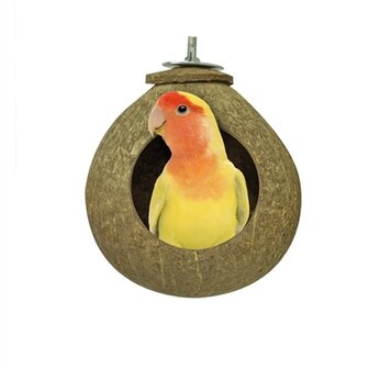 Back zoo nature coconut house