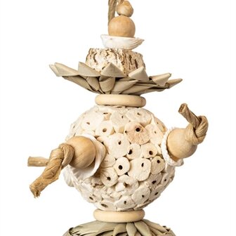 Back zoo nature ball and shells