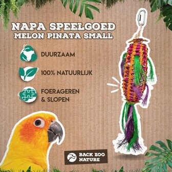 Back zoo nature melon pinata